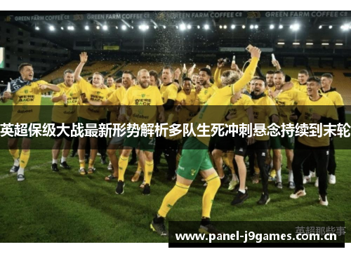 英超保级大战最新形势解析多队生死冲刺悬念持续到末轮 英超保级大战最新形势解析多队生死冲刺悬念持续到末轮
